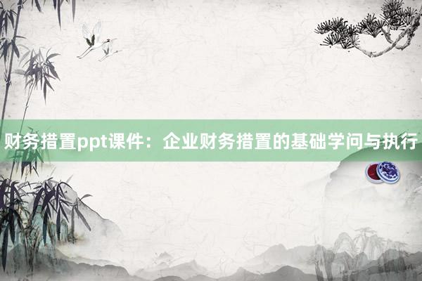 财务措置ppt课件：企业财务措置的基础学问与执行