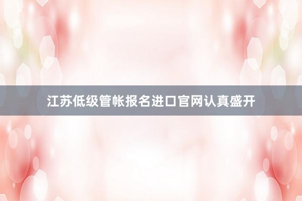 江苏低级管帐报名进口官网认真盛开