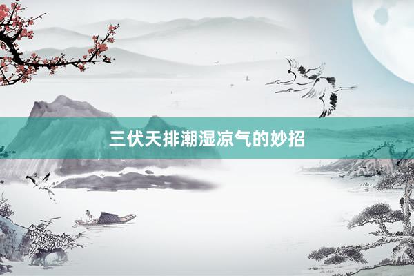 三伏天排潮湿凉气的妙招