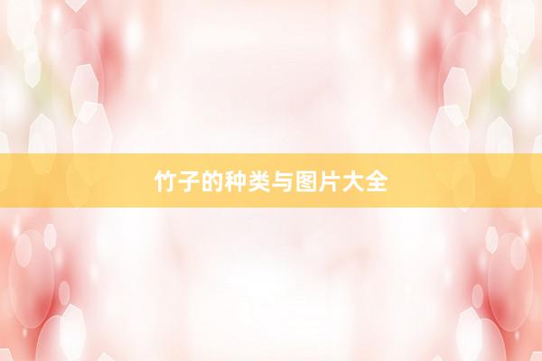 竹子的种类与图片大全